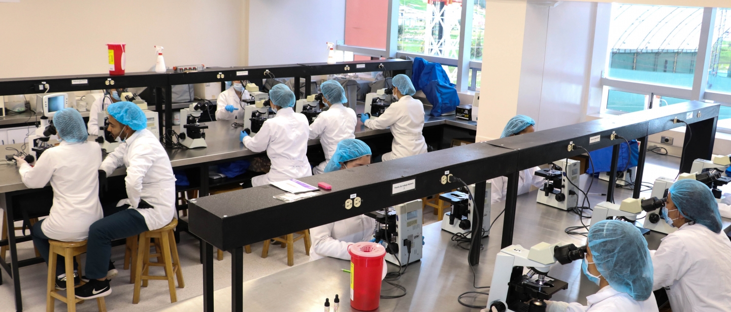 Laboratorio microscopia